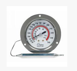  冷/熱蒸汽溫度計